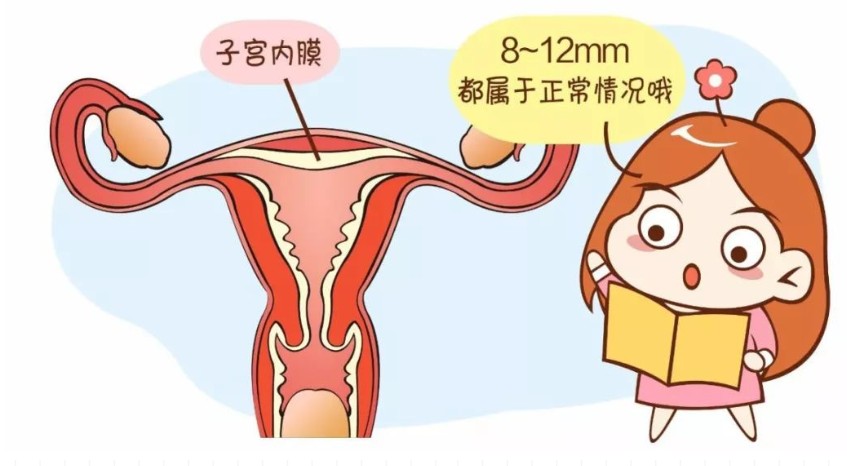 子宫内膜薄还能怀孕吗？