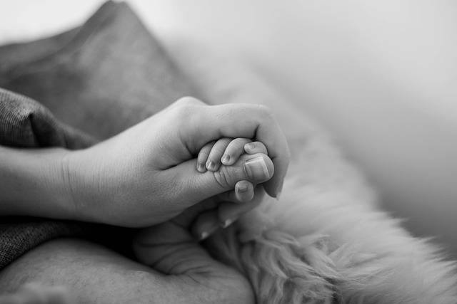 hands-6831944_640.jpg