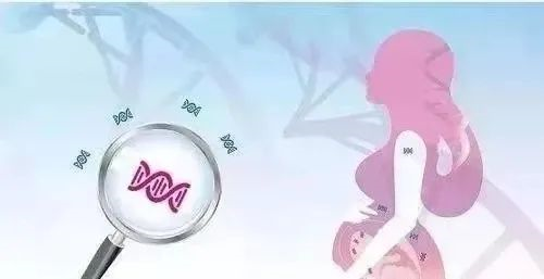 有成熟卵泡就能受孕成功？影响卵子质量的内在因素主要有哪些呢？
