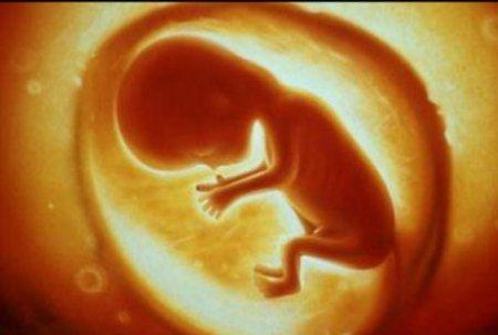 想要怀男孩应该怎么做？科学生男孩的备孕办法有哪些？