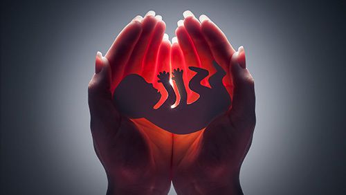 怎样才能怀孕生儿子？生儿子的科学方法有哪些？