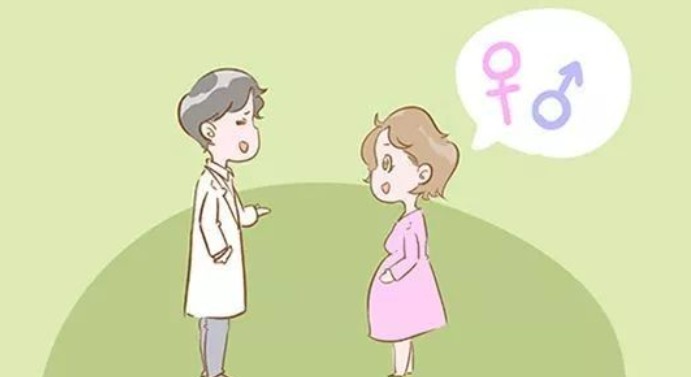 中医把脉能看胎儿性别是真的吗？