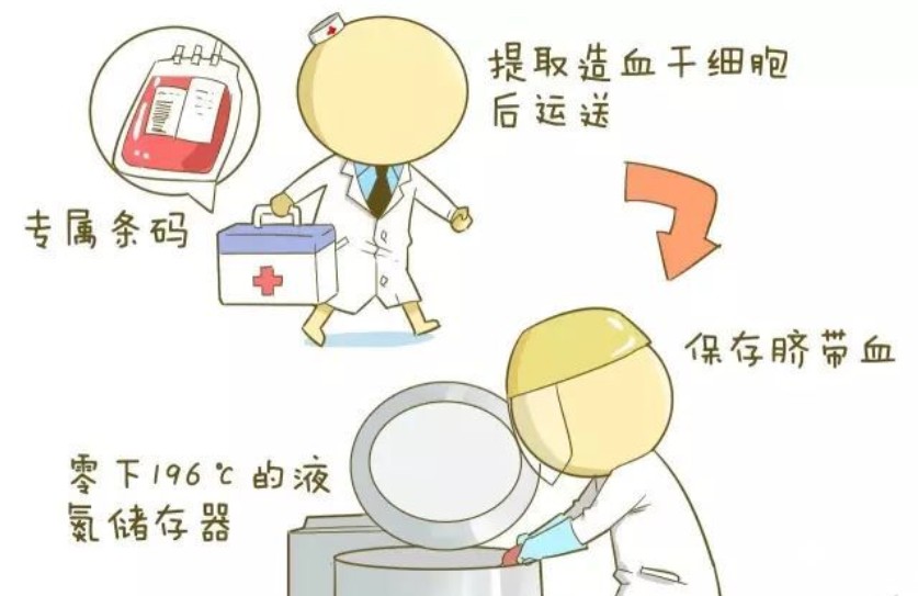 生产完脐带血有必要保存吗？