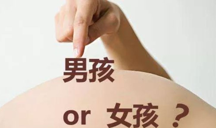 怀孕几个月能知道胎儿性别呢？