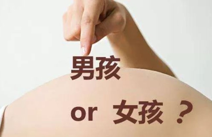 怀孕几个月可以查宝宝性别？