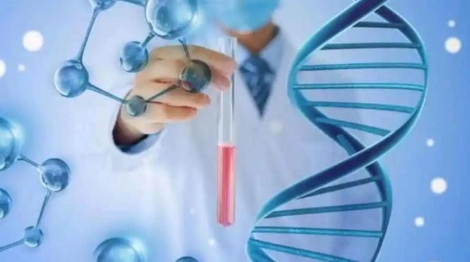 孕期就能做亲子鉴定？关于孕前亲子鉴定，99%的人都不知道的关于亲子鉴定的问题
