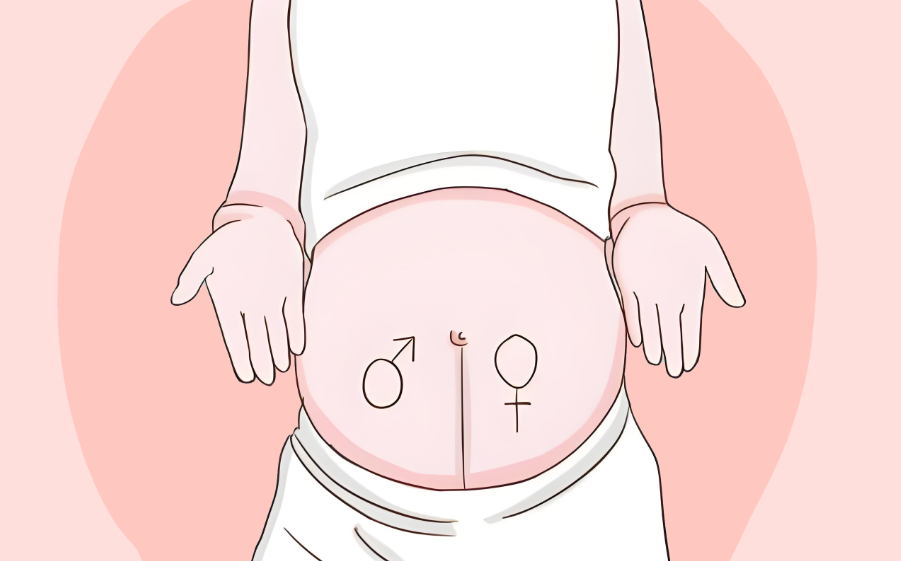 香港验血Y-DNA鉴定胎儿性别：邮寄样本准吗？流程+避坑全攻略